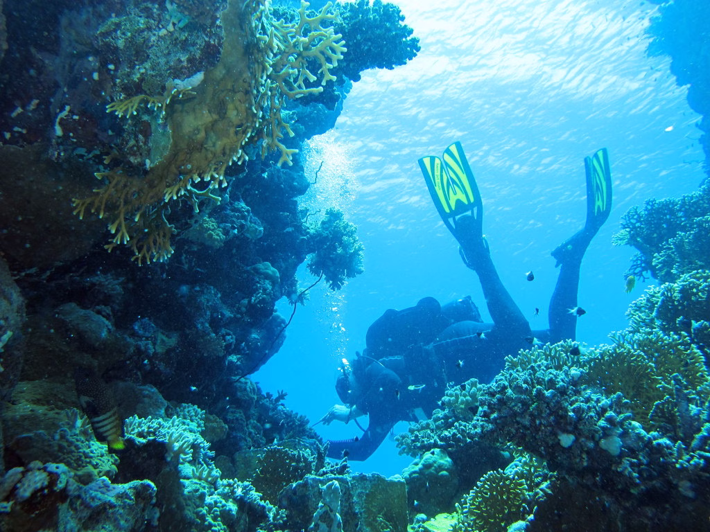 Scuba diver over a colorful reef in clear blue water in Puerto Rico